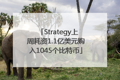 Strategy上周耗资1.1亿美元购入1045个比特币